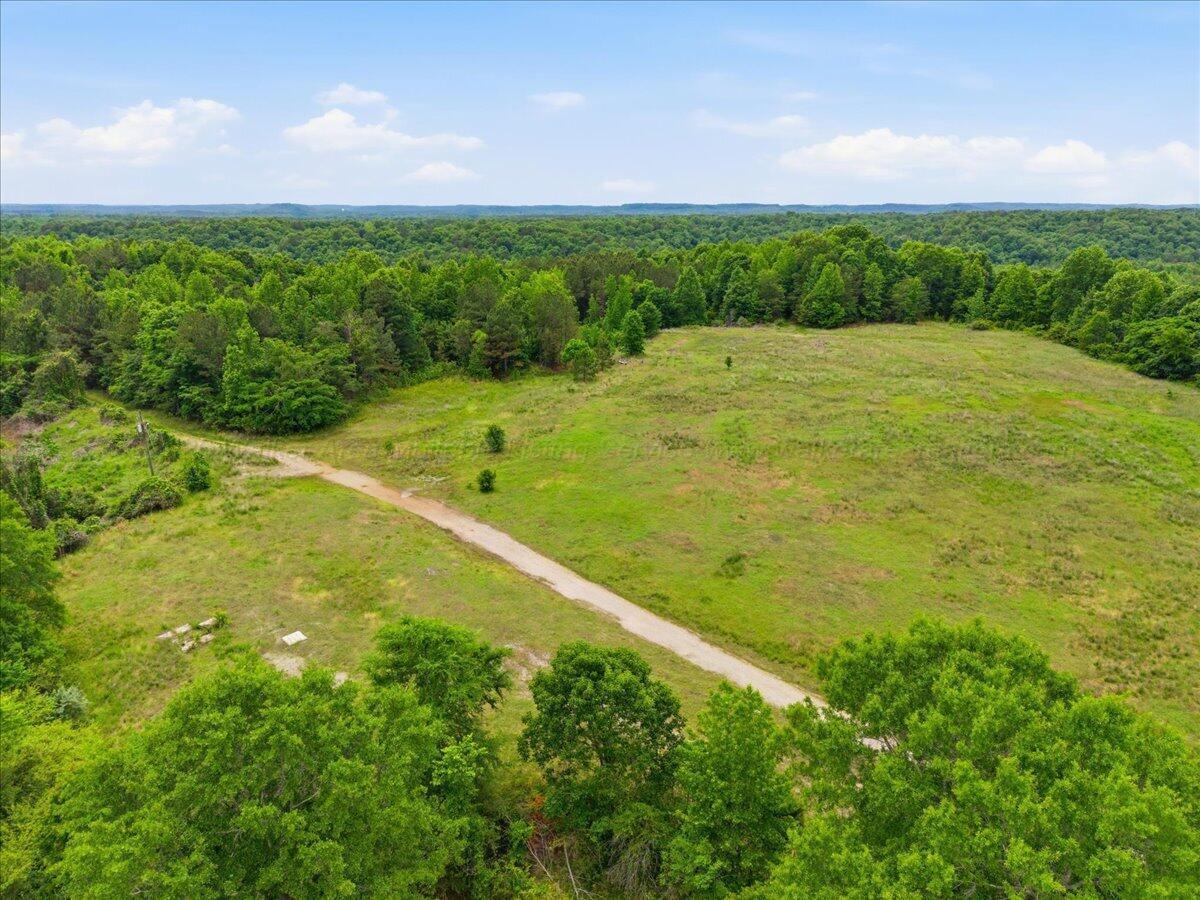 930 Browns Road Parrish, AL 35580 - Photo 9 of 20 Gallery Image 9