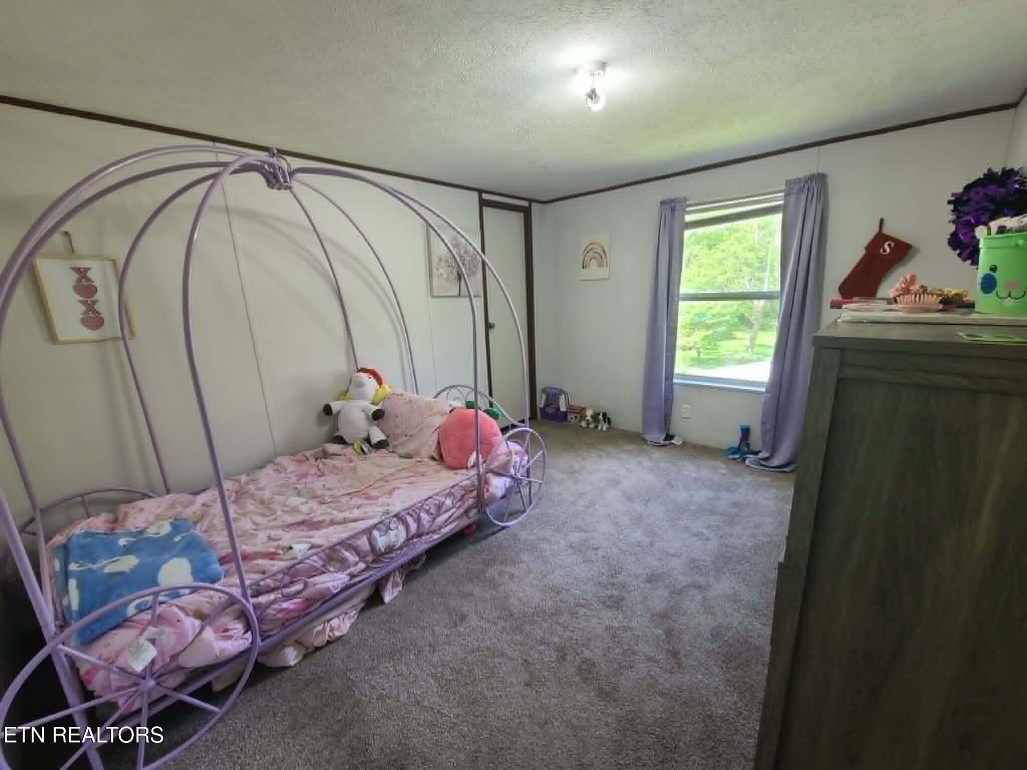 468 Sugar Loaf Road Seymour, TN 37865 - Photo 5 of 16 Front Bedroom