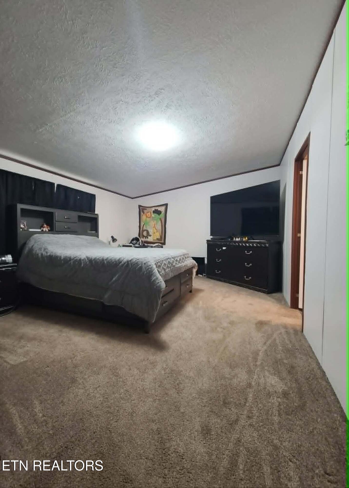 468 Sugar Loaf Road Seymour, TN 37865 - Photo 9 of 16 Master Bedroom