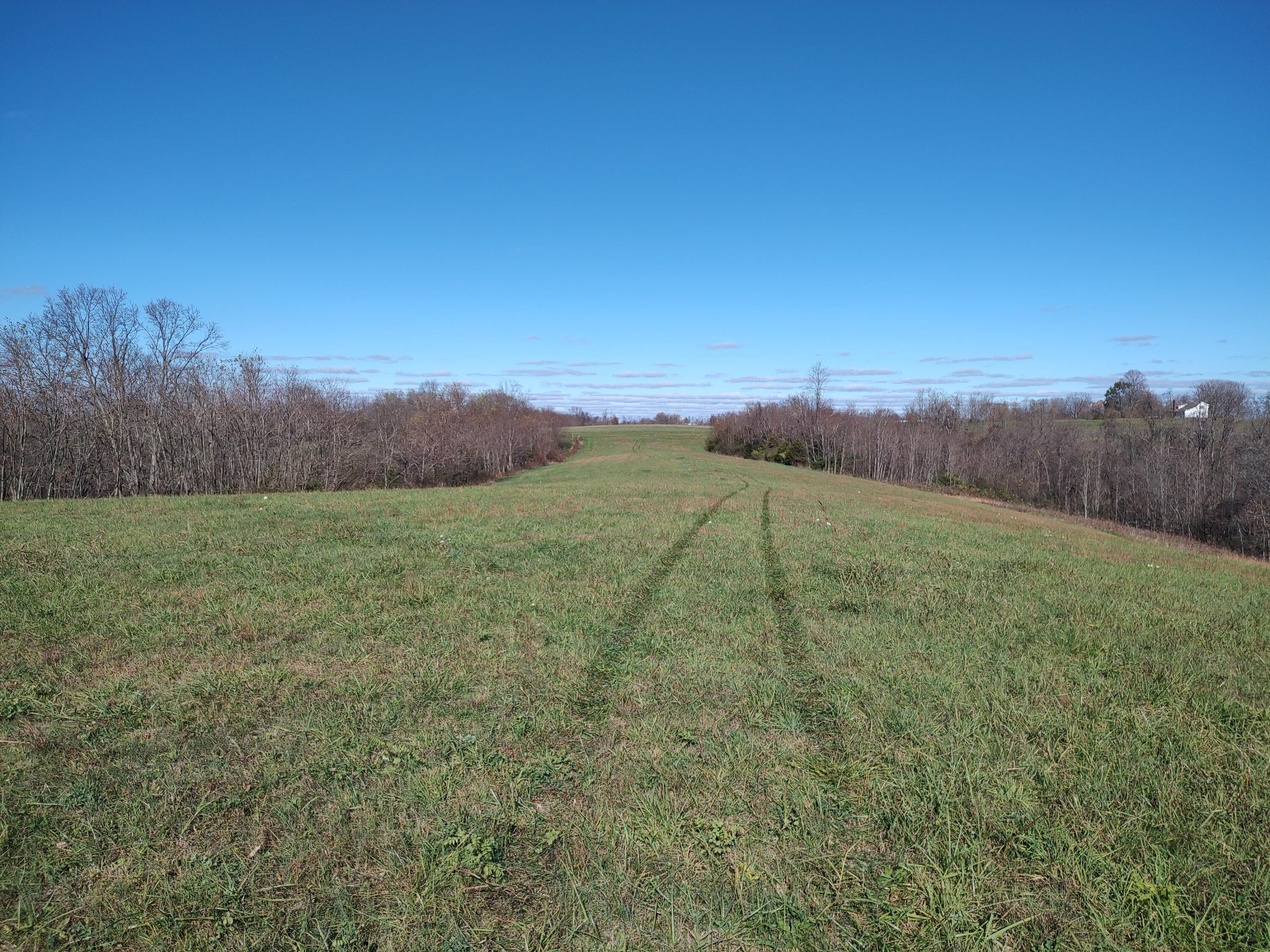 2199 Whetstone Road Carlisle, KY 40311 - Photo 49 of 57 IMG_20241112_122018983