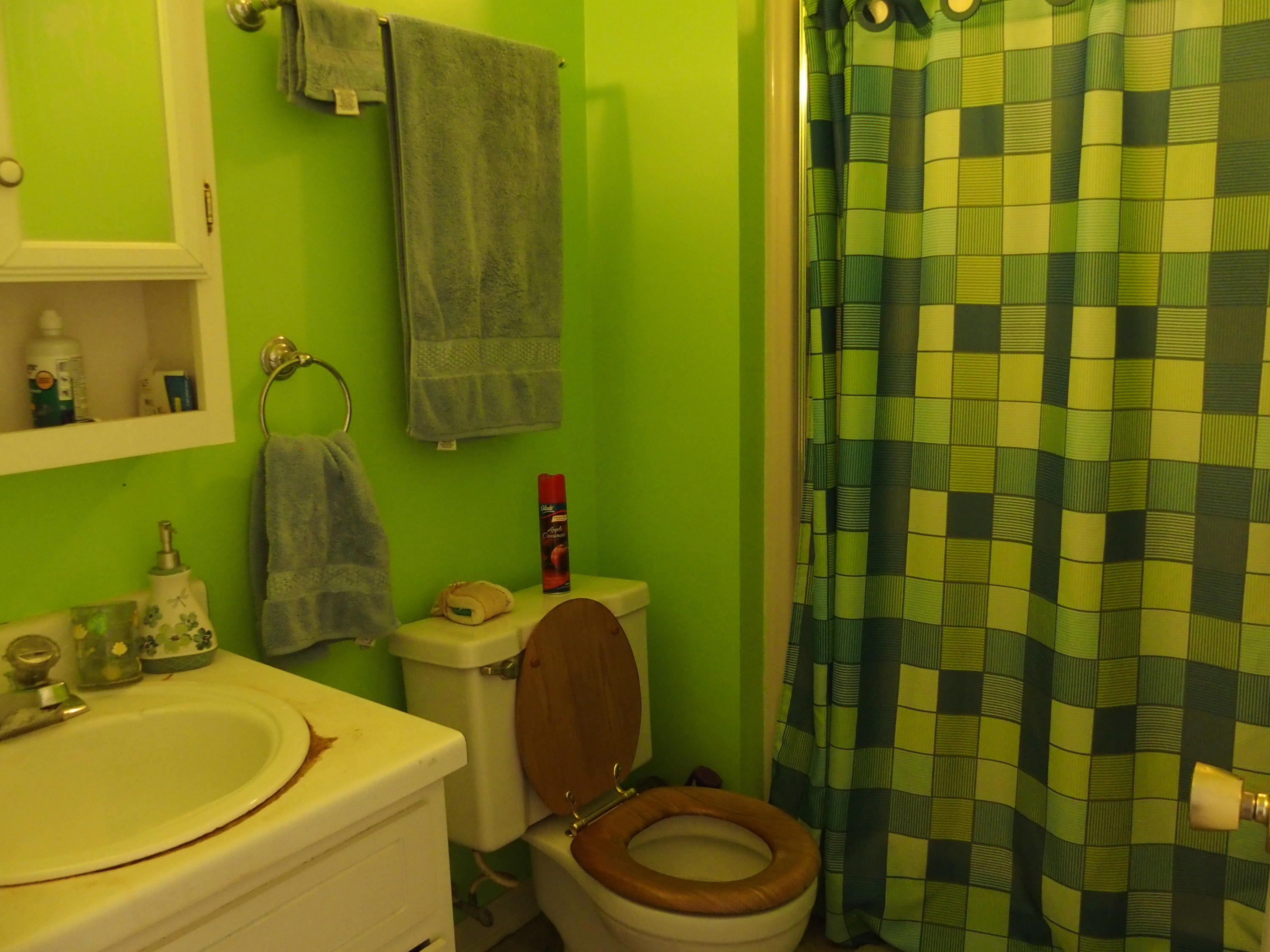 37 Cedarbrook Lane Blue Ridge, VA 24064 - Photo 7 of 21 a bathroom with a sink toilet and shower