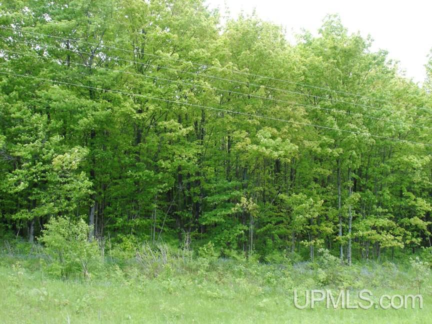 Tbd Co Rd 437 Cooks, MI 49817 - Photo 1 of 7