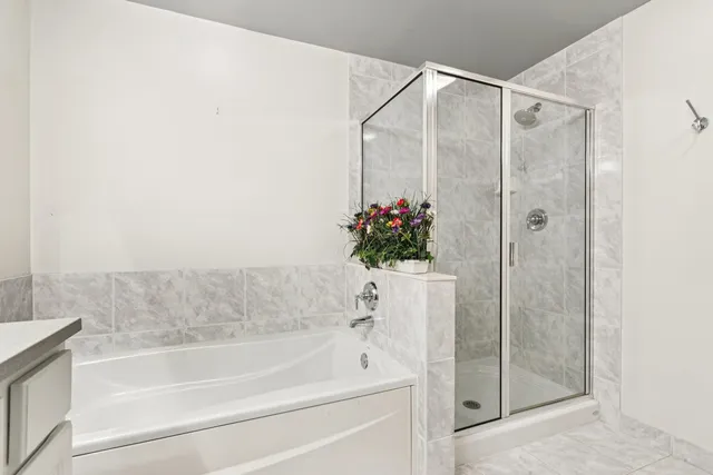 a bathroom with a shower and a bath tub