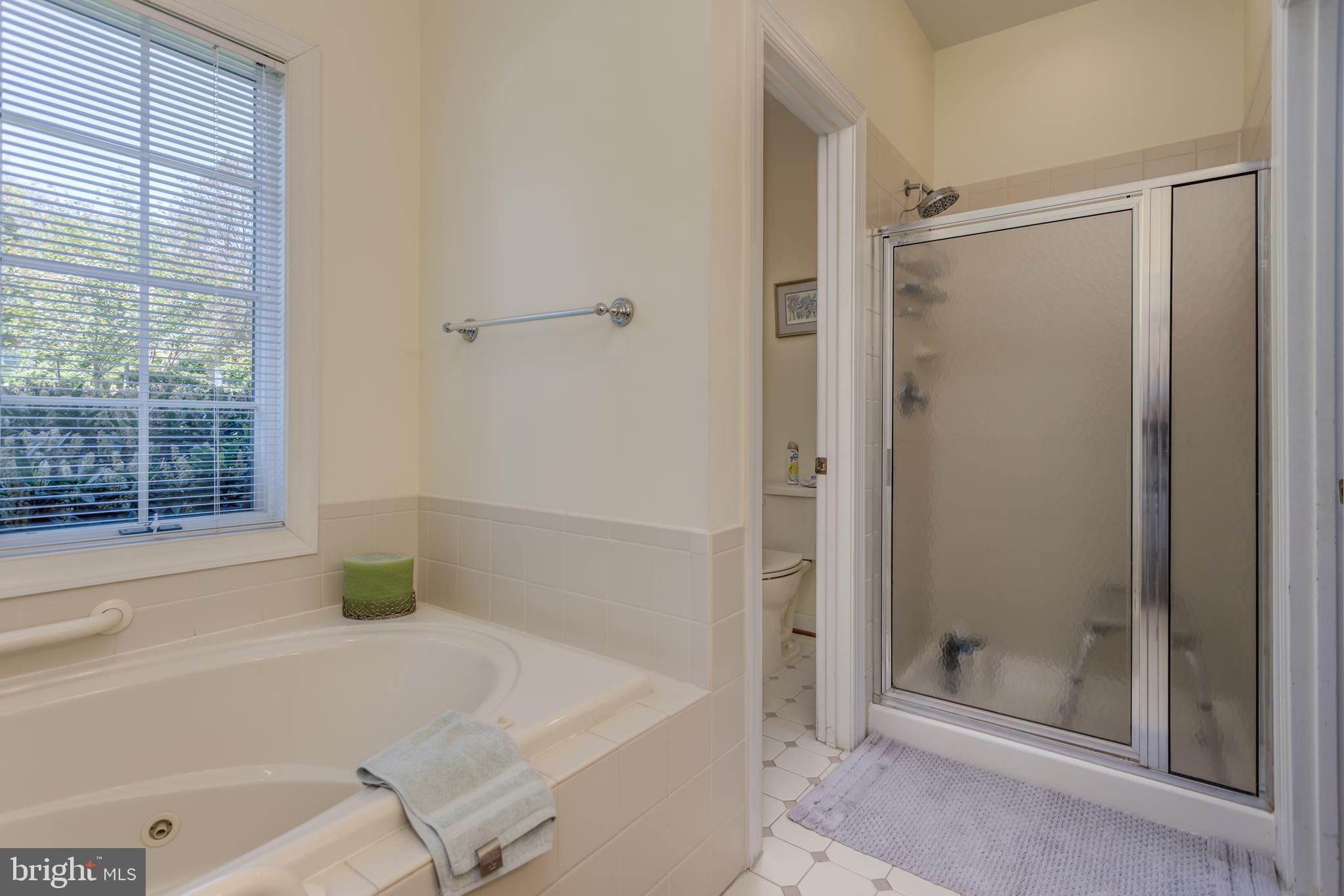1224 Rodes Circle Winchester, VA 22601 - Photo 20 of 39 Master Bathroom w/ Separate Tub & Shower