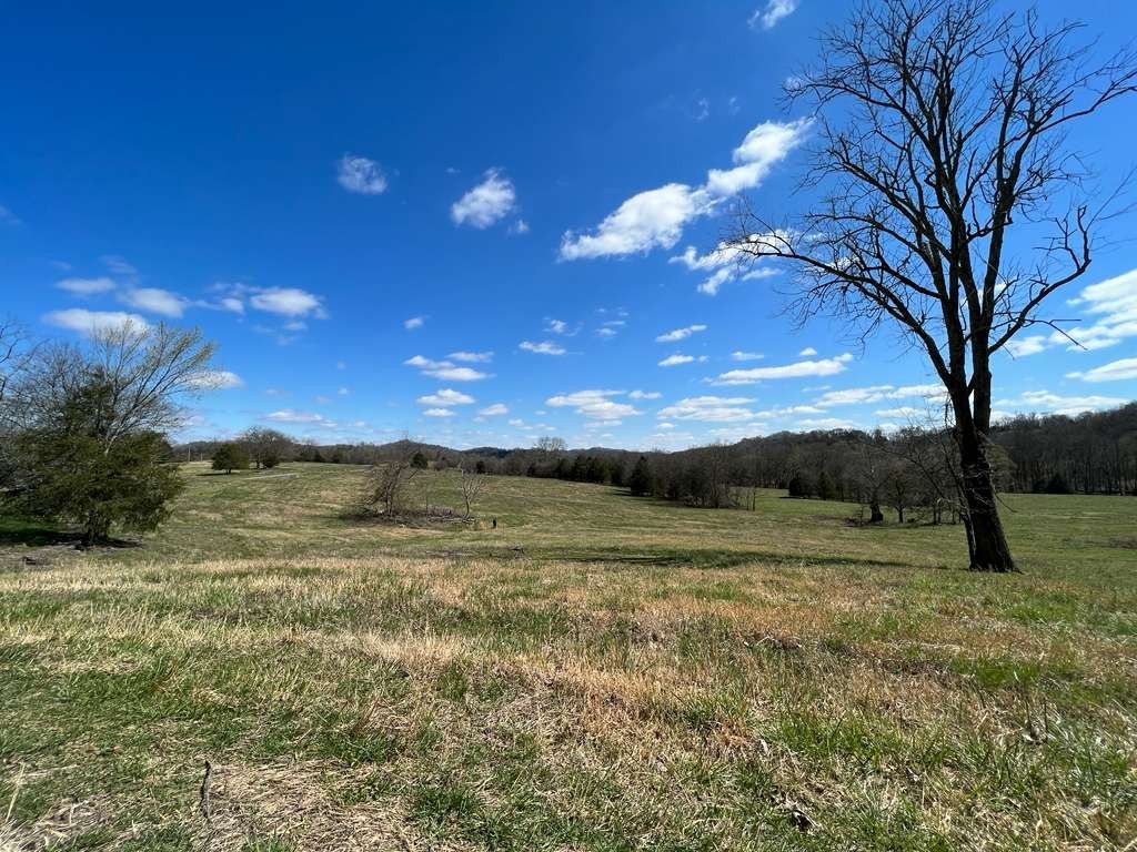 290 Gladdice Road Pleasant Shade, TN 37145 - Photo 39 of 41