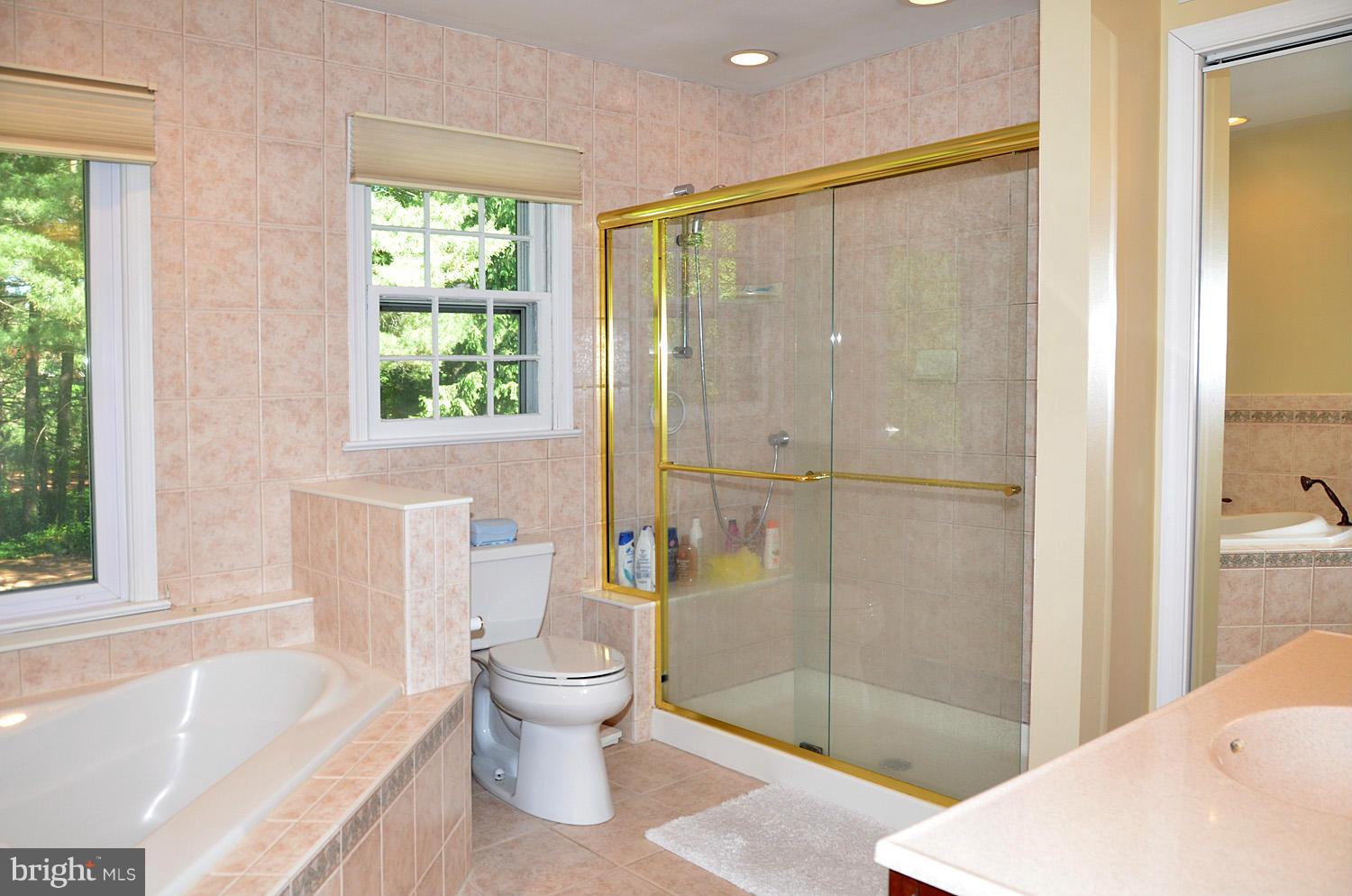 1310 Marchmont Court Reston, VA 20190 - Photo 26 of 30 Bath (Master)