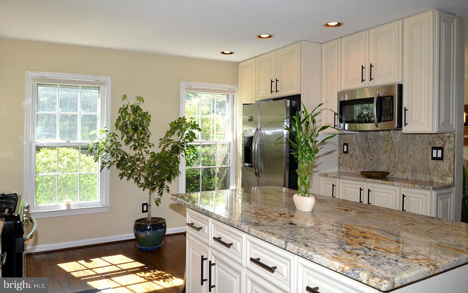 1310 Marchmont Court Reston, VA 20190 - Photo 9 of 30 Kitchen
