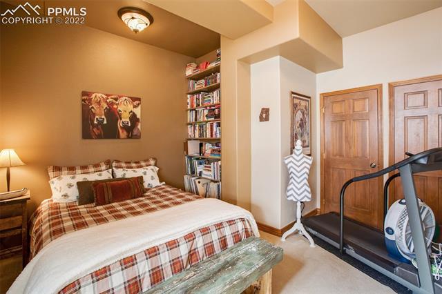 224 Worley Road Divide, CO 80814 - Photo 20 of 33
