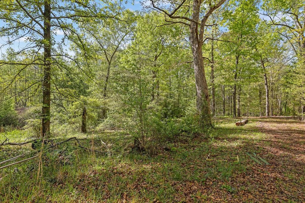 4340 Green Hill Road Gainesville, GA 30506 - Photo 51 of 63