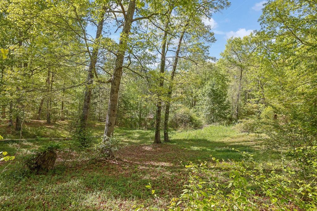 4340 Green Hill Road Gainesville, GA 30506 - Photo 52 of 63