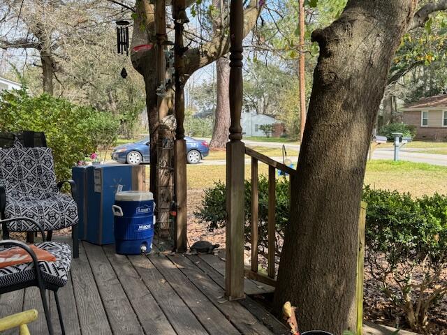 1632 Dogwood Road Charleston, SC 29414 - Photo 10 of 12 View off porch IMG_0496