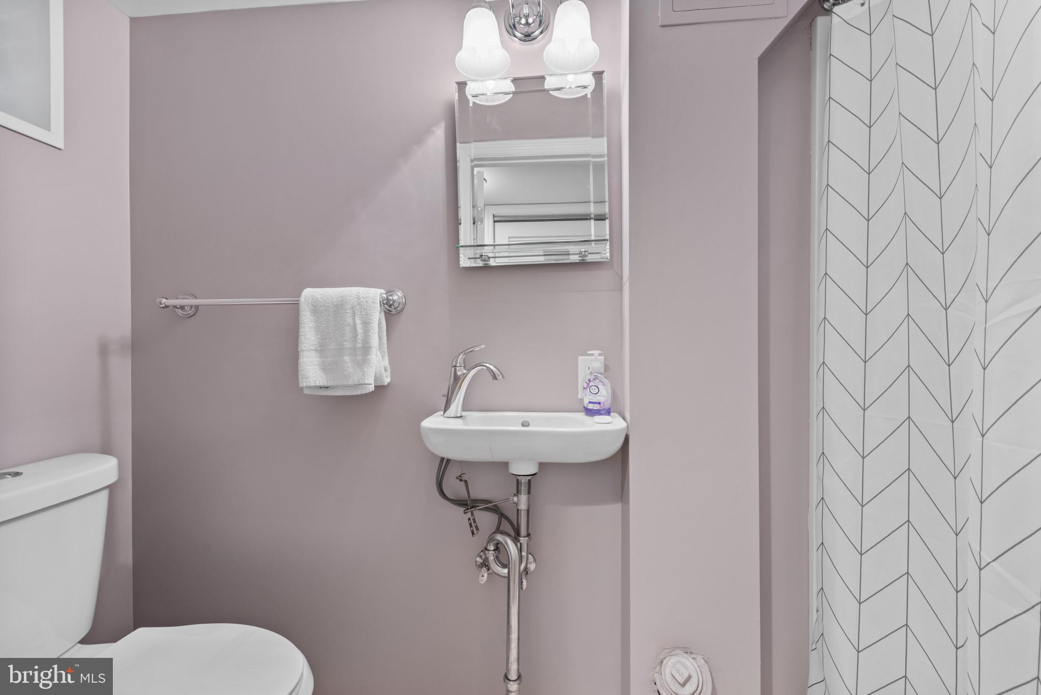 169 Regester Avenue Baltimore, MD 21212 - Photo 18 of 30 Charming pastel bathroom with modern accents.