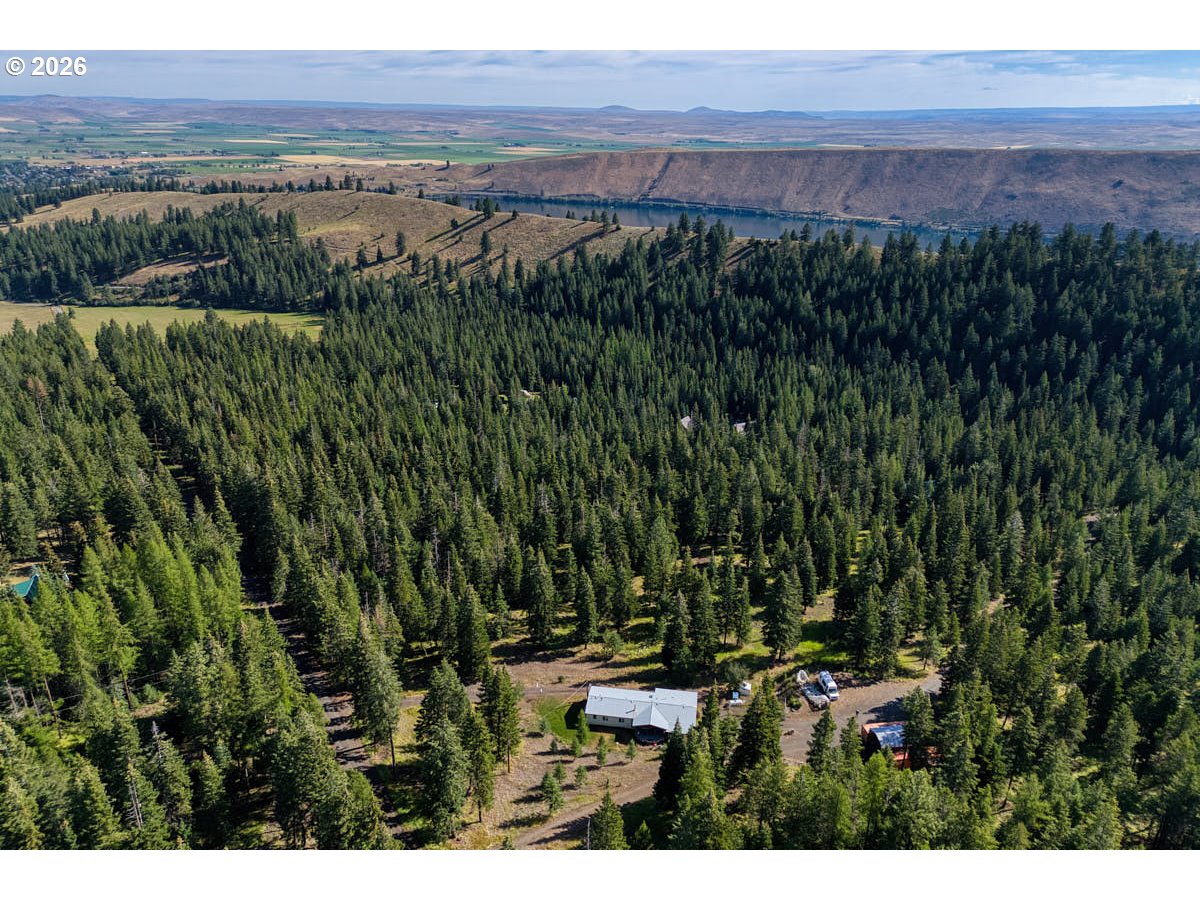 61216 Old Ski Run Road Joseph, OR 97846 - Photo 26 of 27 a view of outdoor and green space
