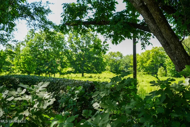 $389,000 | 3084 Tom Collins Road, Utica, MS 39175