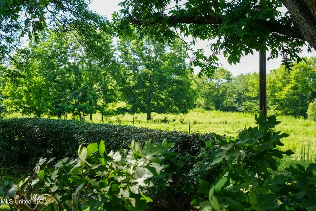 $389,000 | 3084 Tom Collins Road, Utica, MS 39175