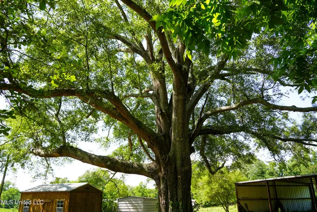 $389,000 | 3084 Tom Collins Road, Utica, MS 39175