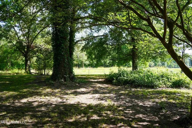 $389,000 | 3084 Tom Collins Road, Utica, MS 39175