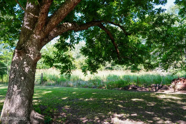 $389,000 | 3084 Tom Collins Road, Utica, MS 39175