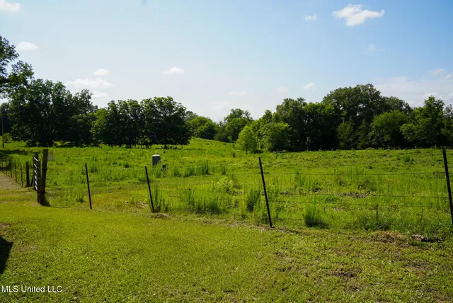 $389,000 | 3084 Tom Collins Road, Utica, MS 39175