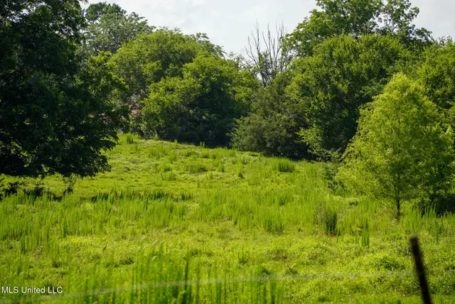 $389,000 | 3084 Tom Collins Road, Utica, MS 39175