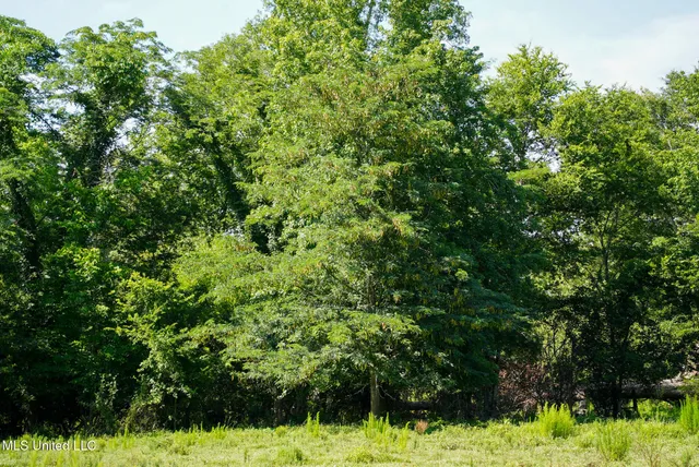 $389,000 | 3084 Tom Collins Road, Utica, MS 39175