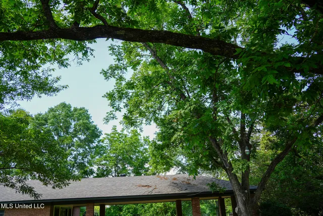 $389,000 | 3084 Tom Collins Road, Utica, MS 39175