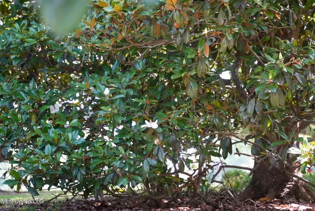 $389,000 | 3084 Tom Collins Road, Utica, MS 39175