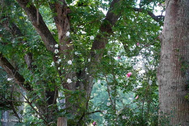 $389,000 | 3084 Tom Collins Road, Utica, MS 39175