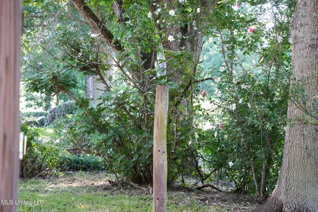 $389,000 | 3084 Tom Collins Road, Utica, MS 39175