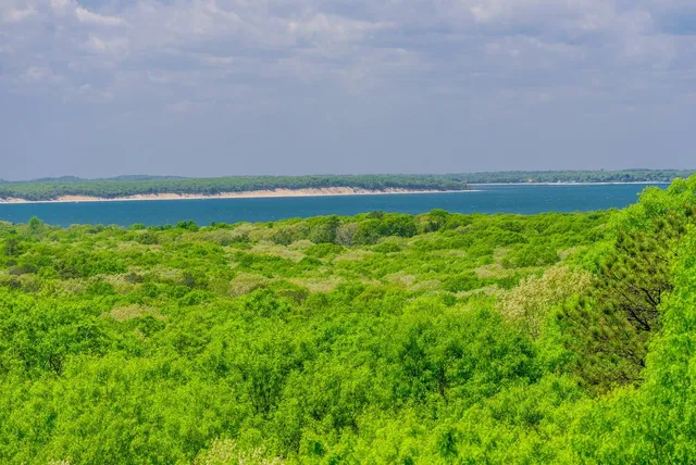 a view of a field with an ocean