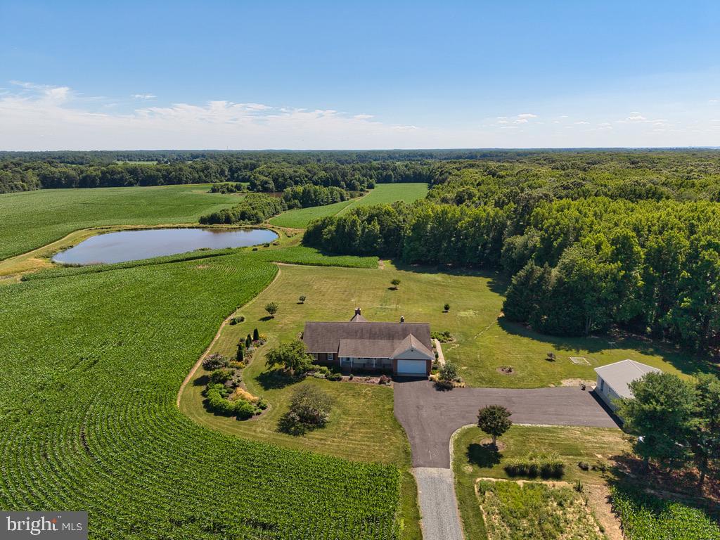 11500 Possum Hollow Road Worton, MD 21678 - Photo 4 of 81