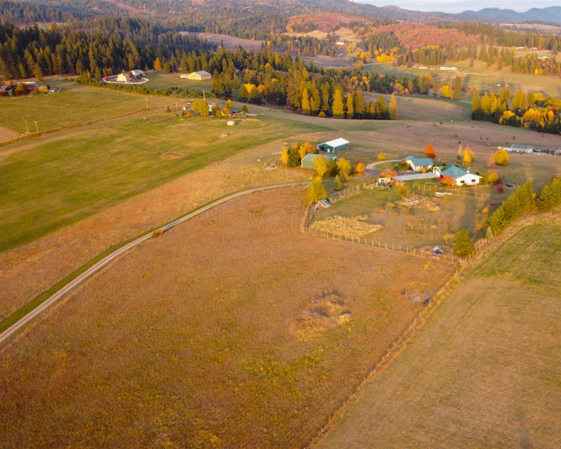 260 Milan Farms Road Elk, WA 99009 - Photo 46 of 49