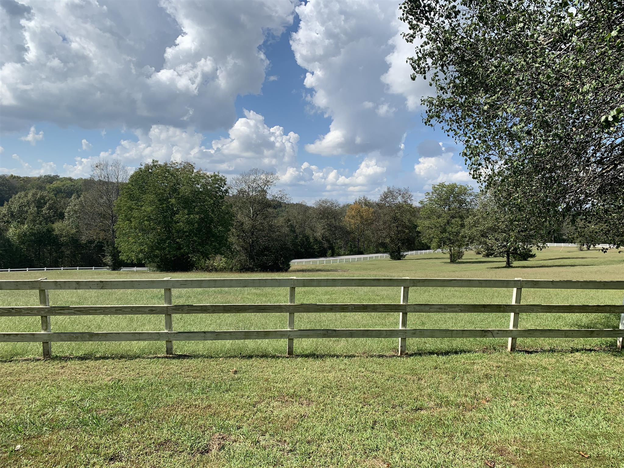 5035 Will Brown Road Spring Hill, TN 37174 - Photo 3 of 8 a view of park with large trees