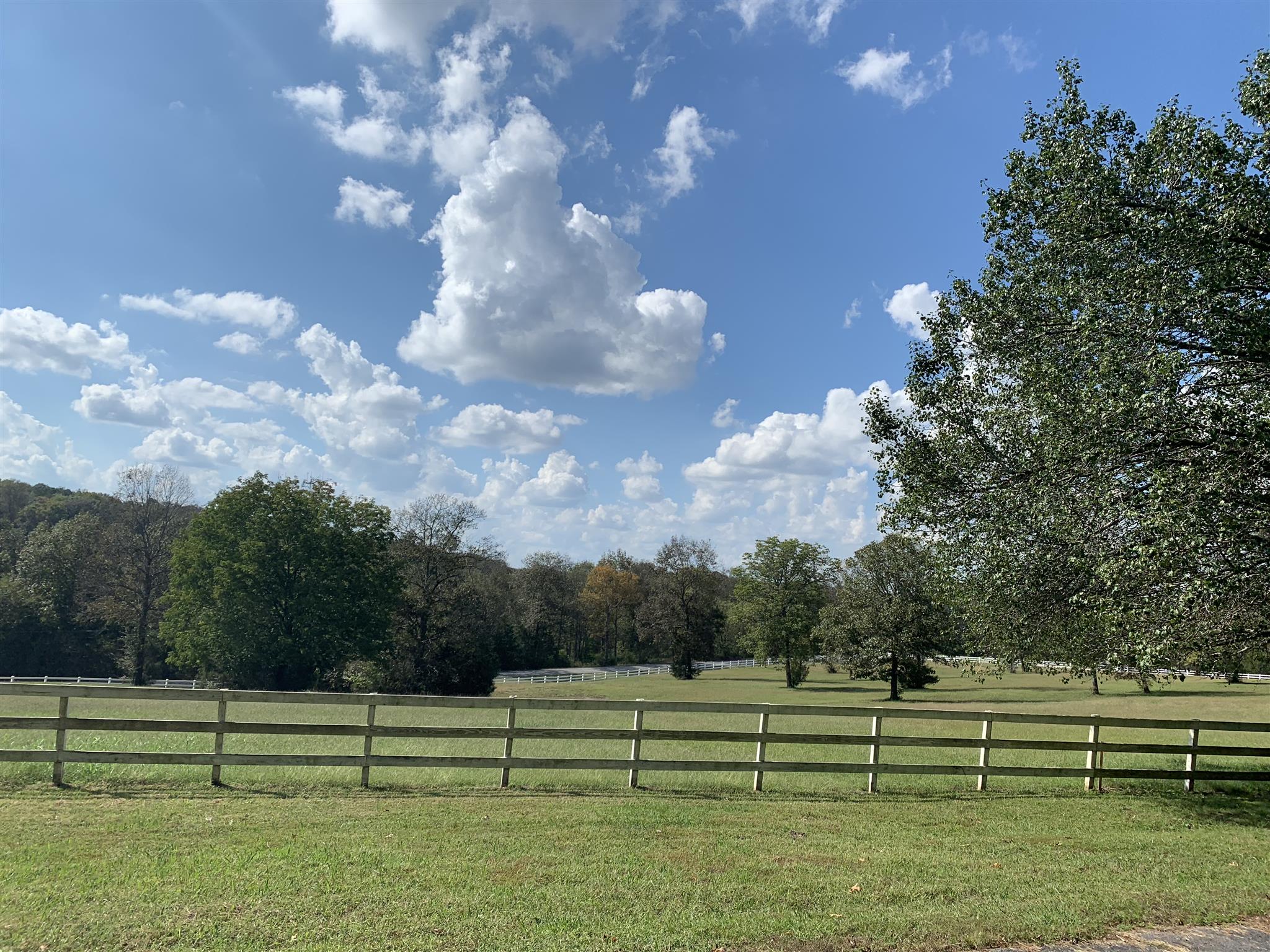 5035 Will Brown Road Spring Hill, TN 37174 - Photo 8 of 8 a view of outdoor space and yard