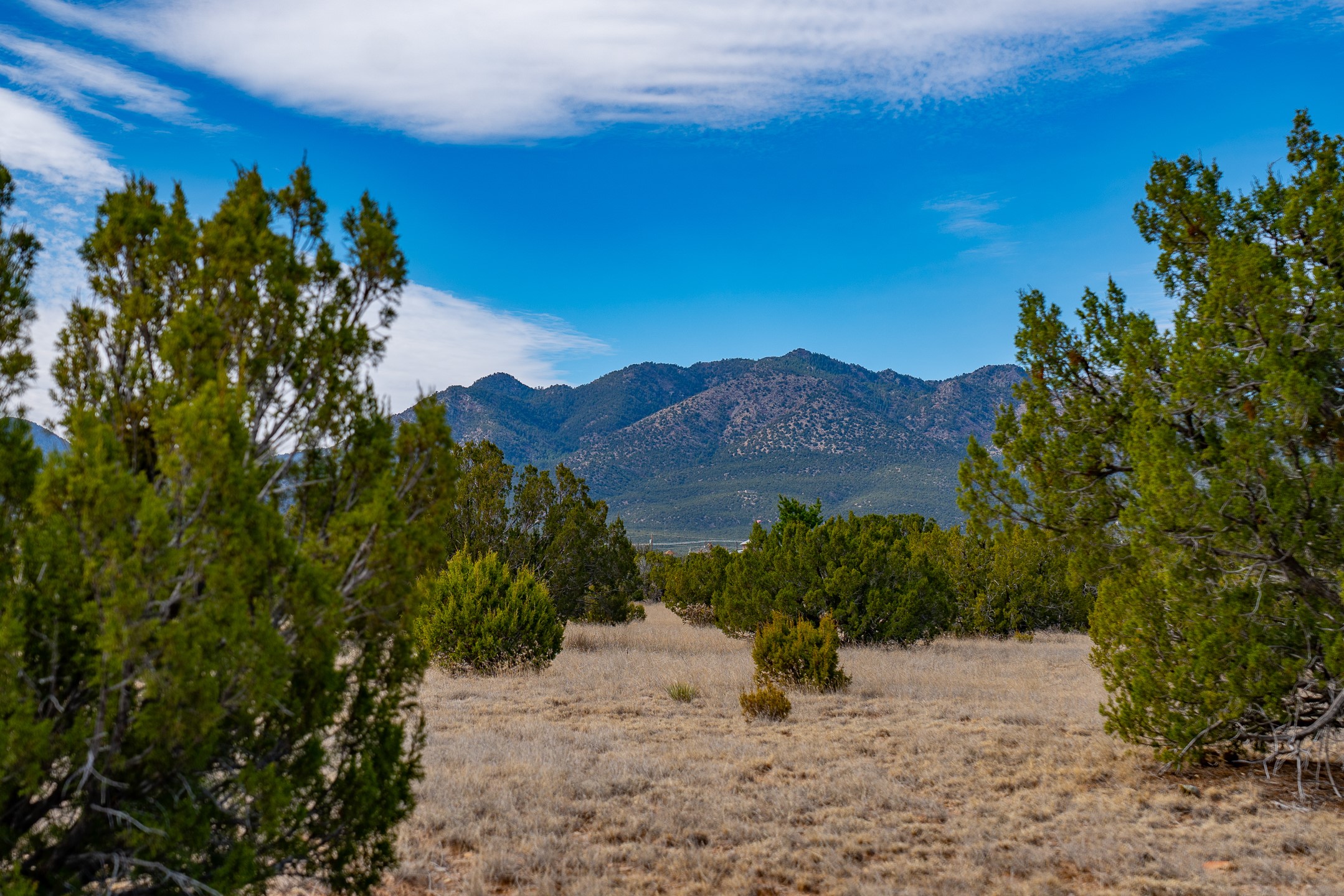49-65 Blue Agave/grenfell Ranch Cerrillos, NM 87010 - Photo 36 of 36