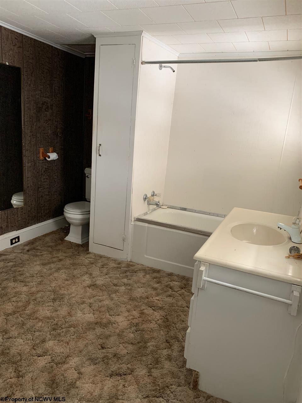 170 Stringtown Road Belington, WV 26250 - Photo 13 of 19 Gallery Image 13