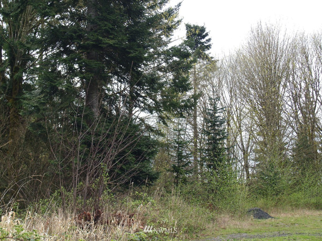 169 Puma Road Longview, WA 98632 - Photo 1 of 6