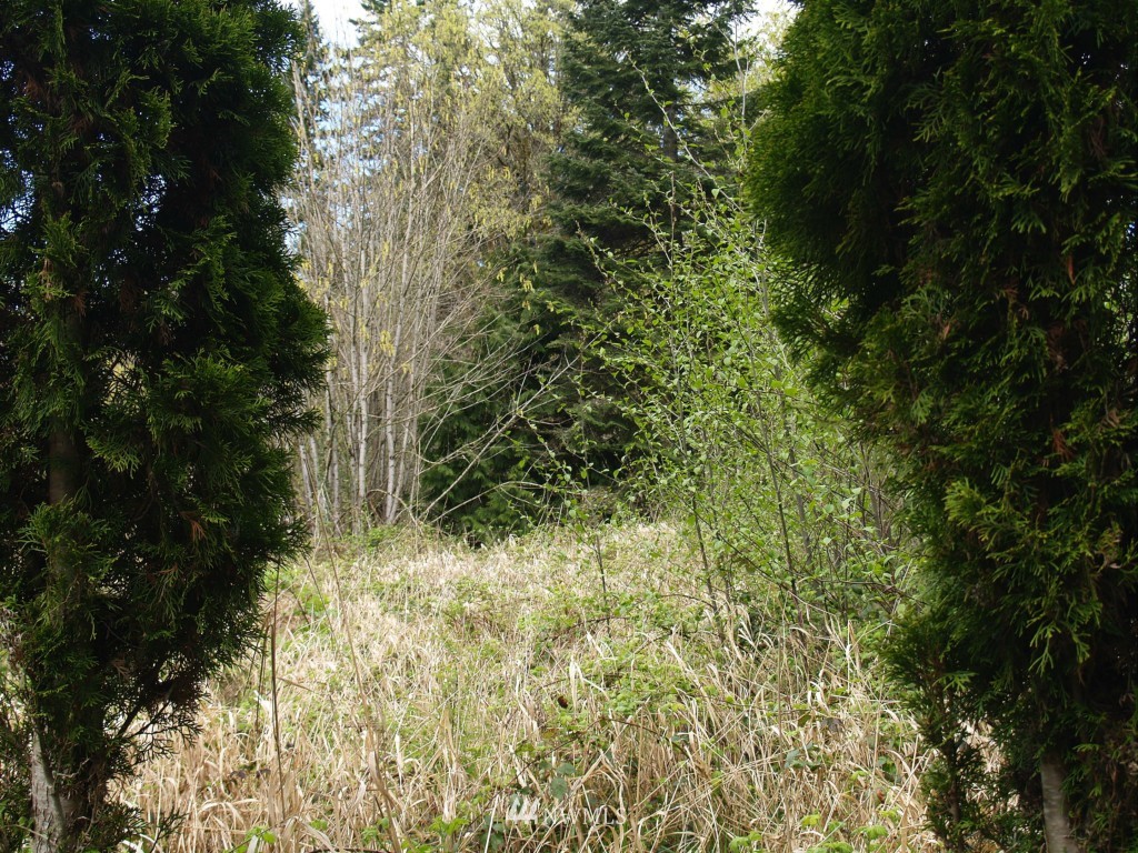 169 Puma Road Longview, WA 98632 - Photo 2 of 6