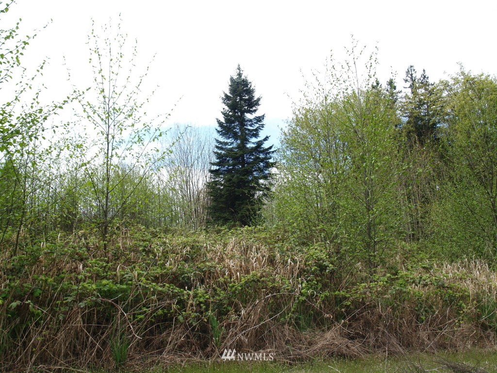 169 Puma Road Longview, WA 98632 - Photo 4 of 6