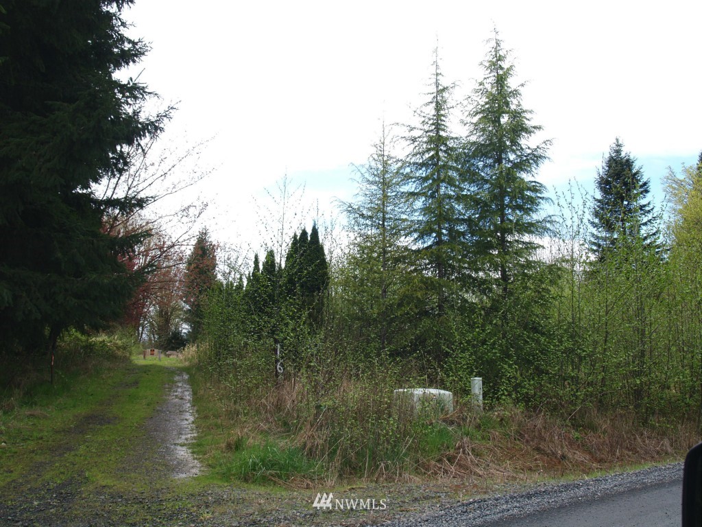 169 Puma Road Longview, WA 98632 - Photo 5 of 6