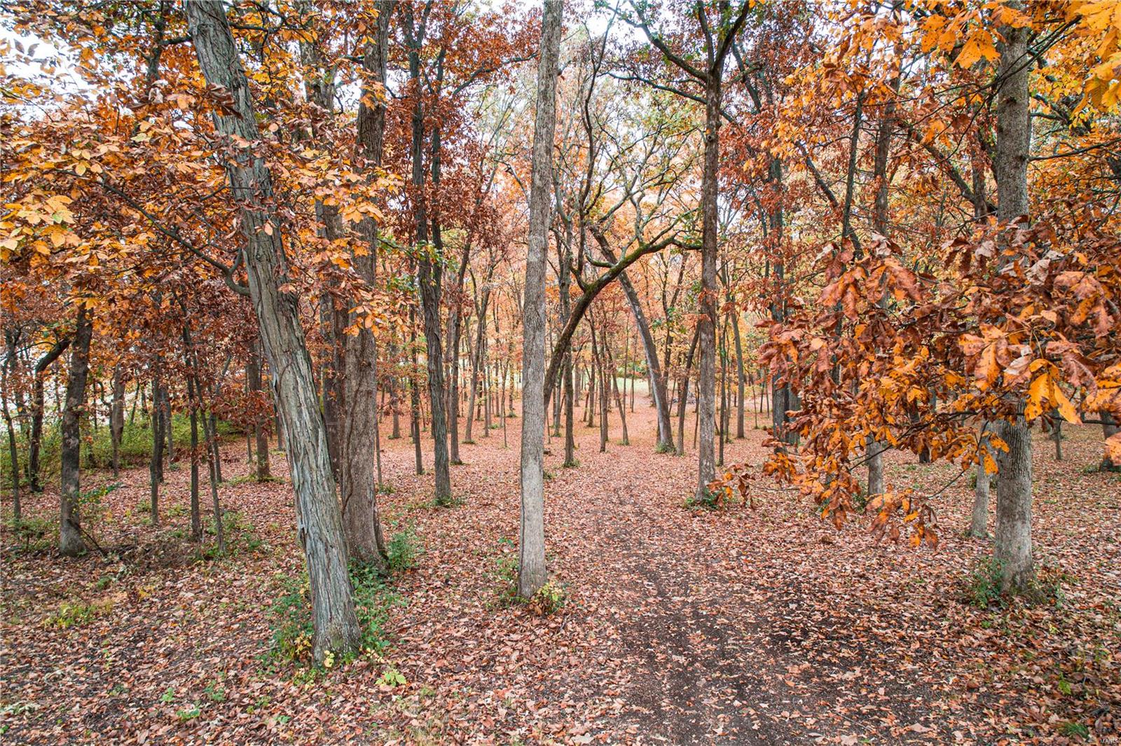 2863 Wellen Road Highland, IL 62249 - Photo 77 of 84