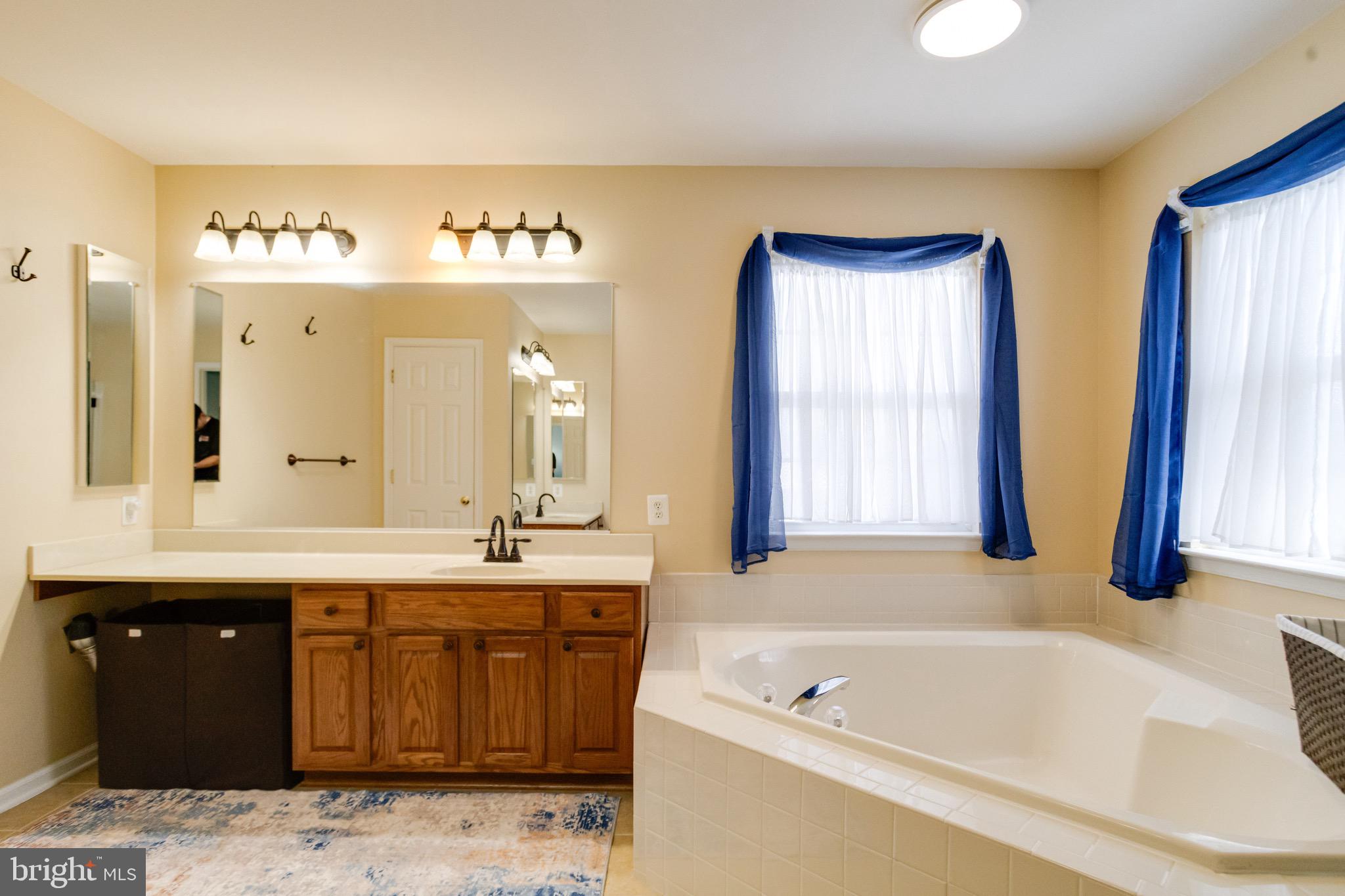 1705 Stone Ridge Court Bel Air, MD 21015 - Photo 56 of 81 a bathroom with a tub a sink and a large mirror