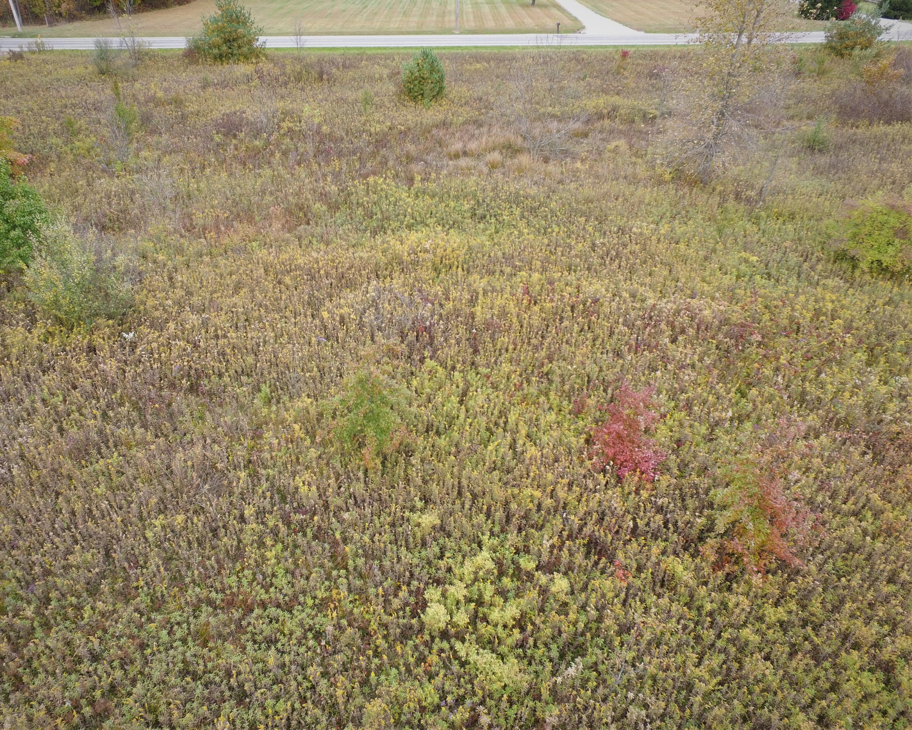 0 Olive Green Road Centerburg, OH 43011 - Photo 7 of 8 DJI_0015 (2)