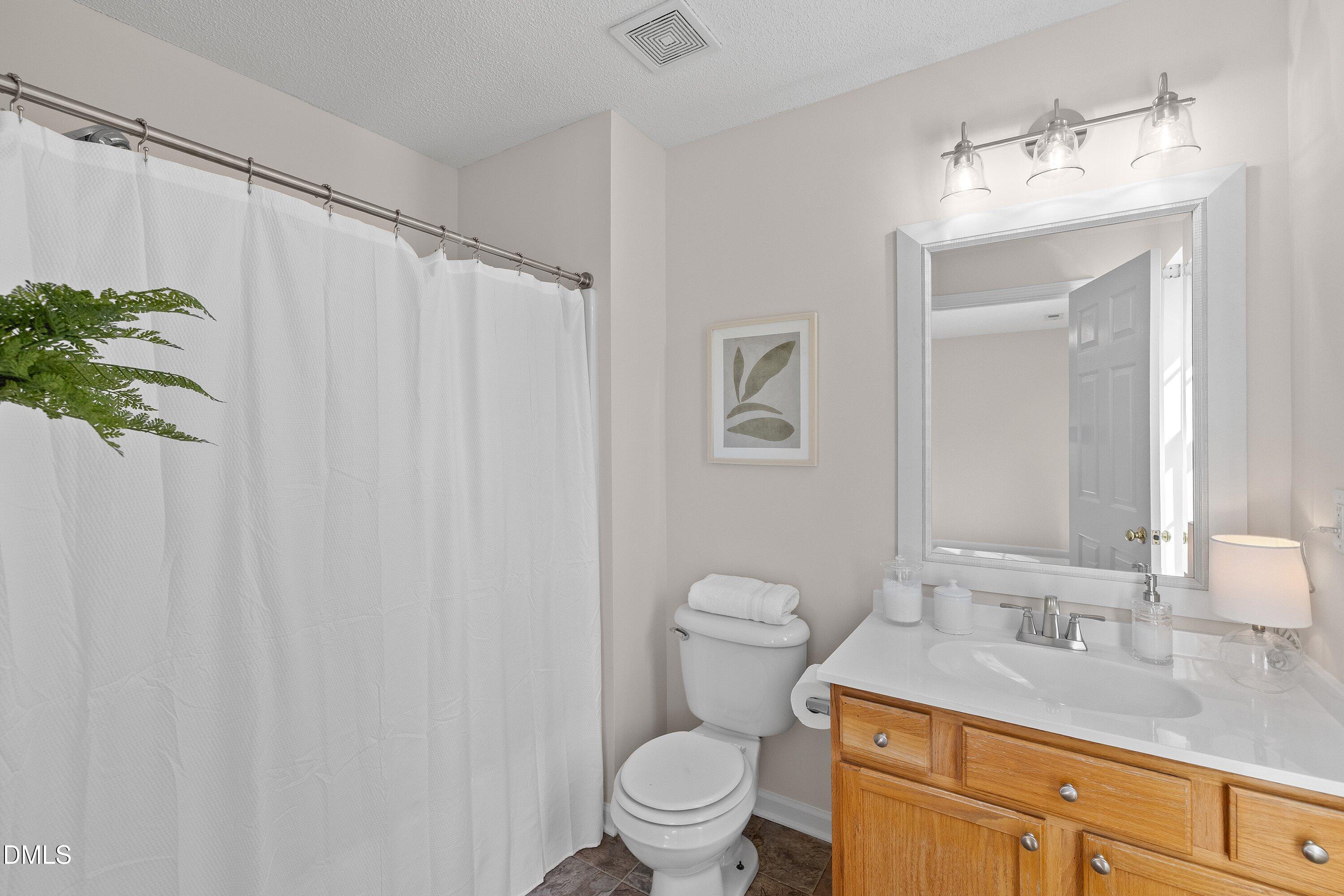 101 Graystar Road Apex, NC 27502 - Photo 17 of 36 New fixtures and lighting