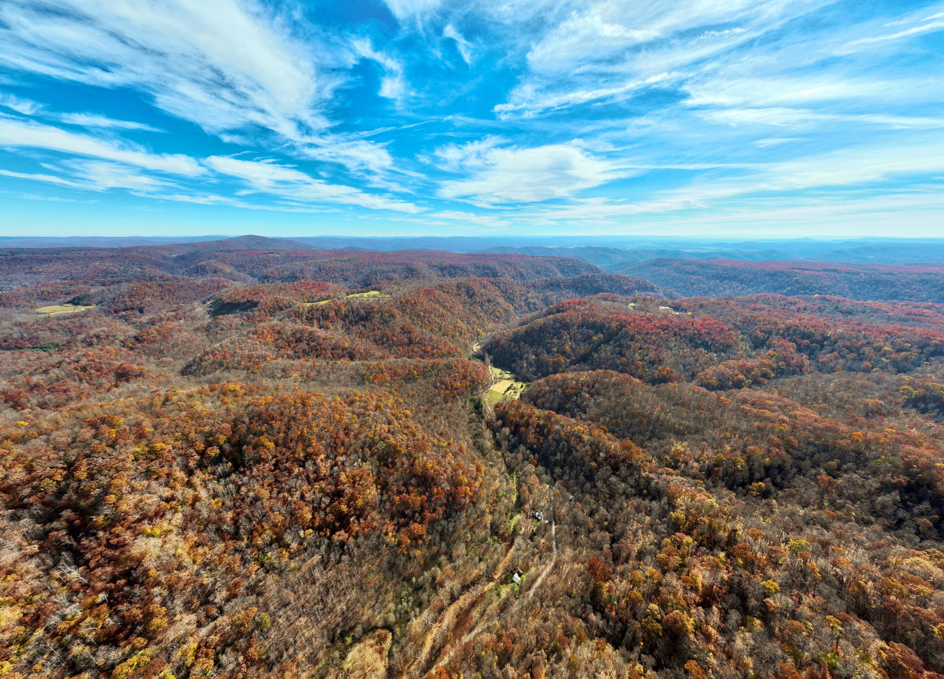 Robins Fork Road Renick, WV 24966 - Photo 6 of 34 Gallery Image 6