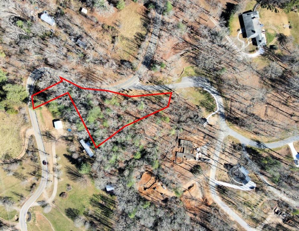 a picture of flowers