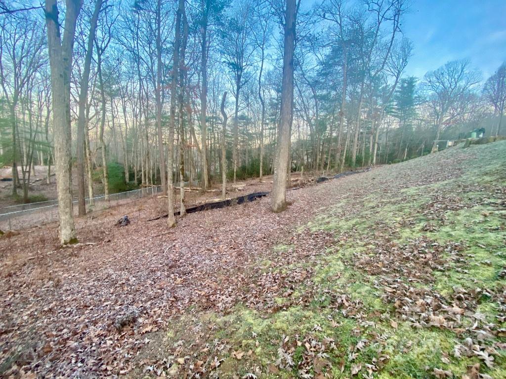 5 Ted Linn Drive Fairview, NC 28730 - Photo 3 of 20 a backyard of a house with lots of green space