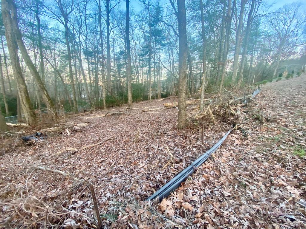 5 Ted Linn Drive Fairview, NC 28730 - Photo 4 of 20 a backyard of a house with lots of green space