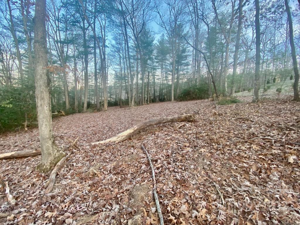 5 Ted Linn Drive Fairview, NC 28730 - Photo 5 of 20 a view of a yard with trees in the background
