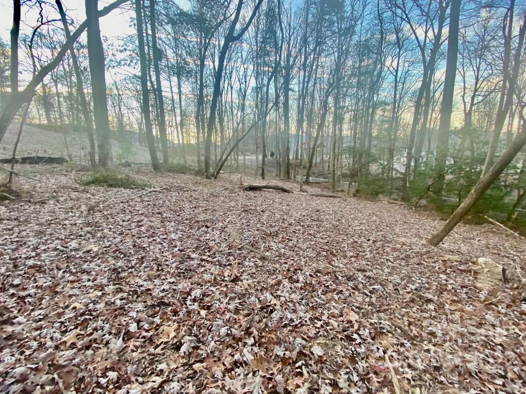 5 Ted Linn Drive Fairview, NC 28730 - Photo 6 of 20 a backyard of a house with lots of green space
